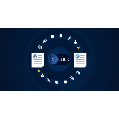 All in One WP Migration Unlimited Extension