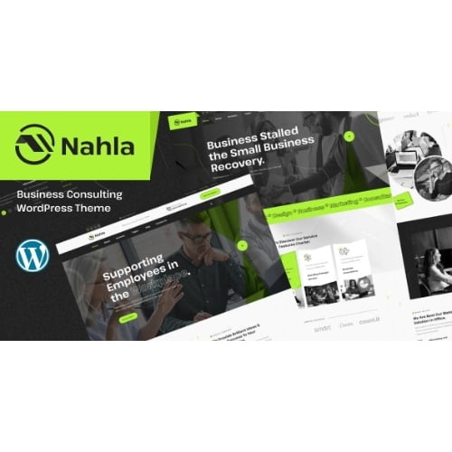 Nahla Business Consulting WordPress Theme Nulled 1